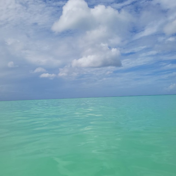 Meet your Posher, Paola - Picture 1 of 1